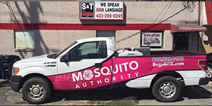 vehicle wraps